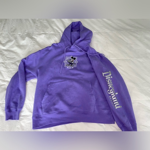 Disney Other - Purple Disneyland 100 Resort Hoodie